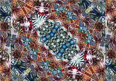 《极限竞速：地平线5》“拉力冒险”新扩展包公布